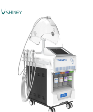 12 in 1 Multifunctional  Hydrodermabrasion Hydro Oxygen Water jet Peel Beauty Equipment