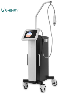 Vertical Secret Rf Skin Tightening Fractional Microneedle RF Machine