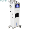 10 in 1 face facial cleansing microdermabrasion oxygen facial machine - Image 2